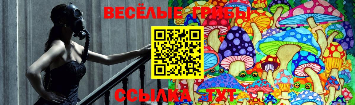 Севастополь  Псилоцибиновые грибы Cubensis  Вход с VPN 
