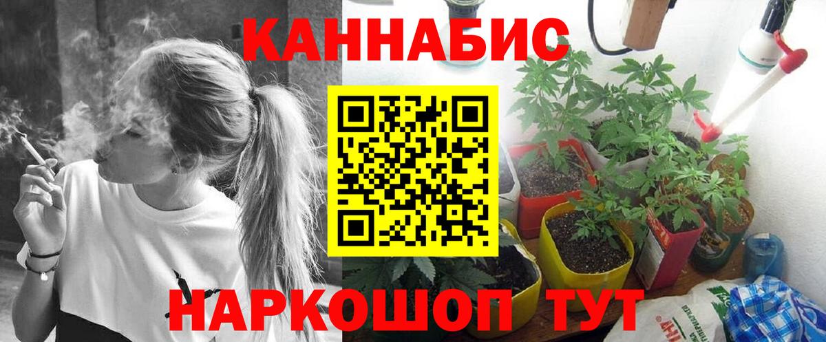 Бошки Шишки гибрид Севастополь